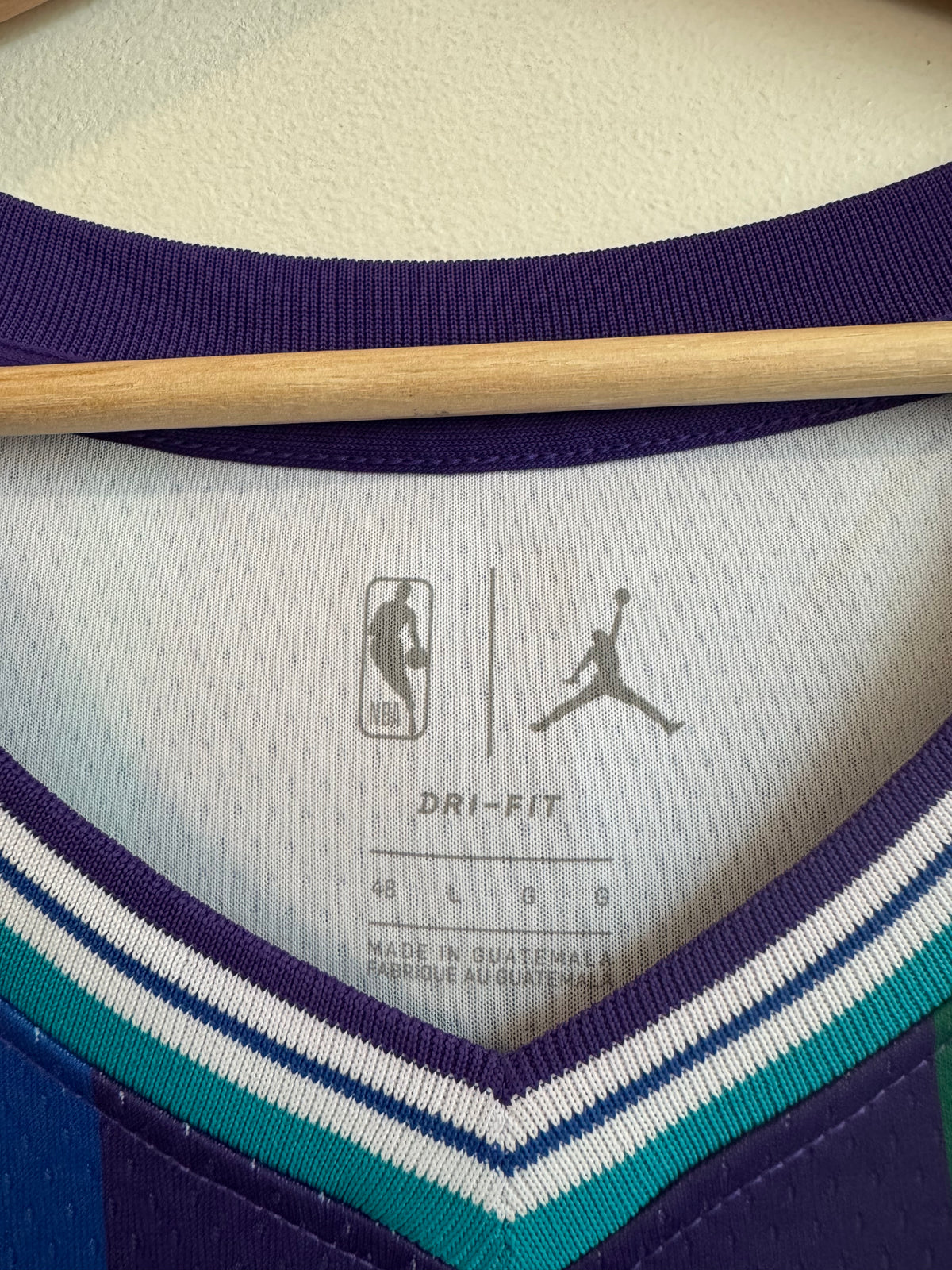 2019 Charlotte Hornets Terry Rozier III Jordan Swingman Purple Jersey (L)