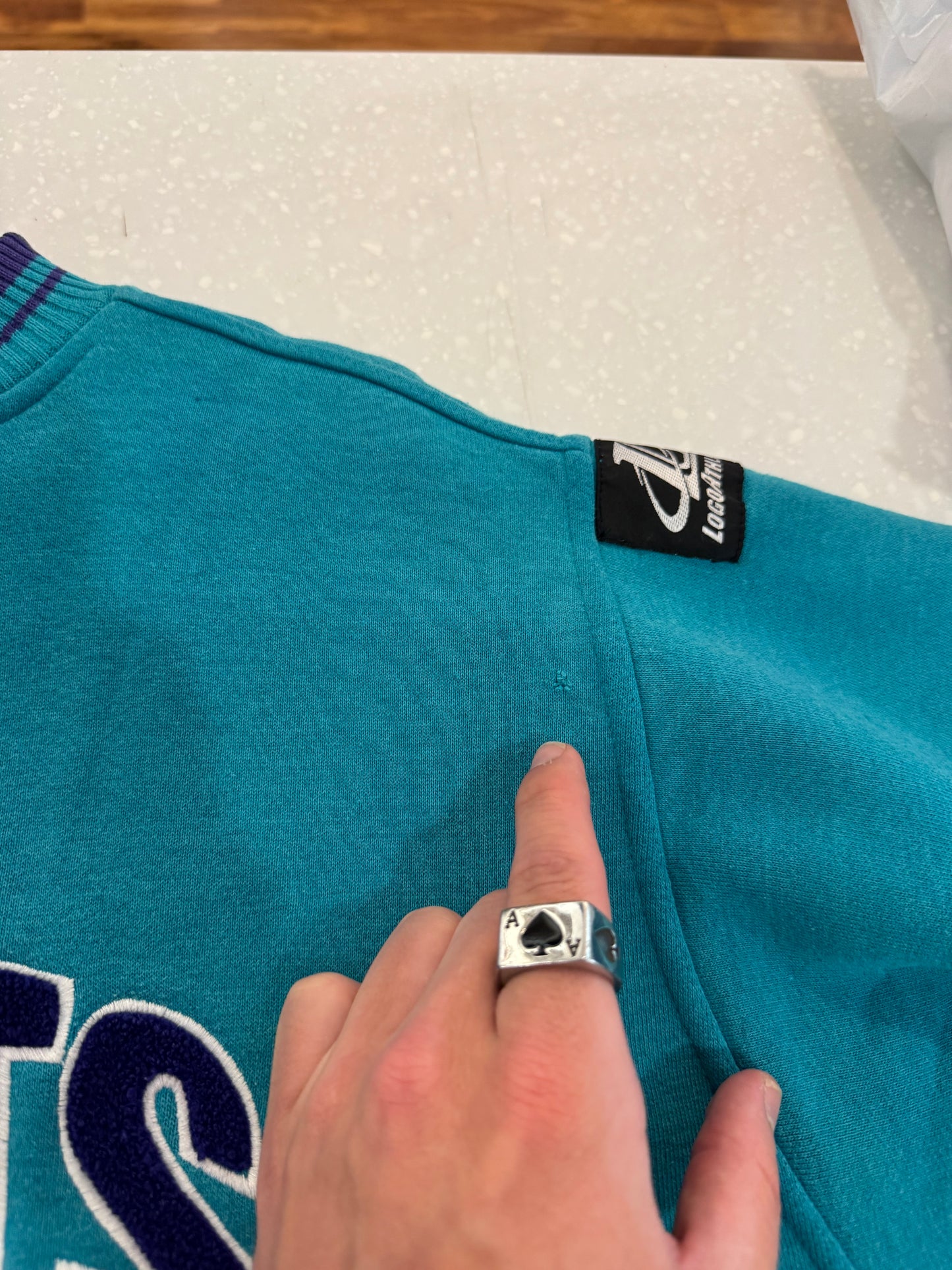 1990s Charlotte Hornets Logo Athletic Crewneck (L)