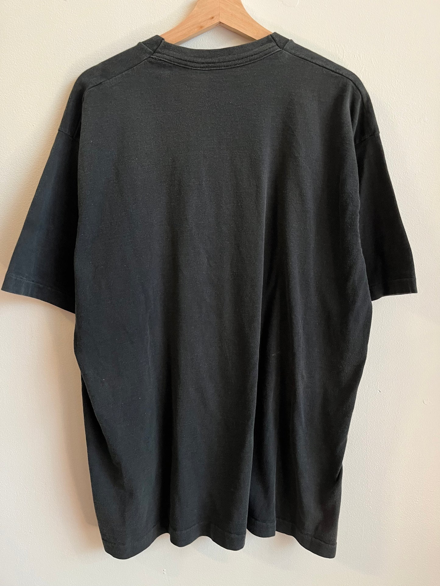 1996 Carolina Panthers Taz Graphic Tee (XL)