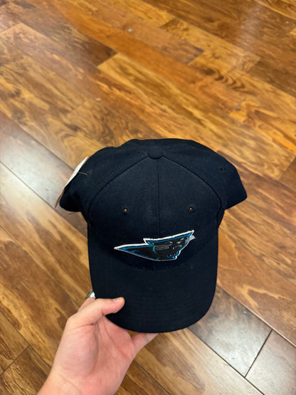 00s Carolina Panthers Black Sports Specialities Essential Hat (OS)