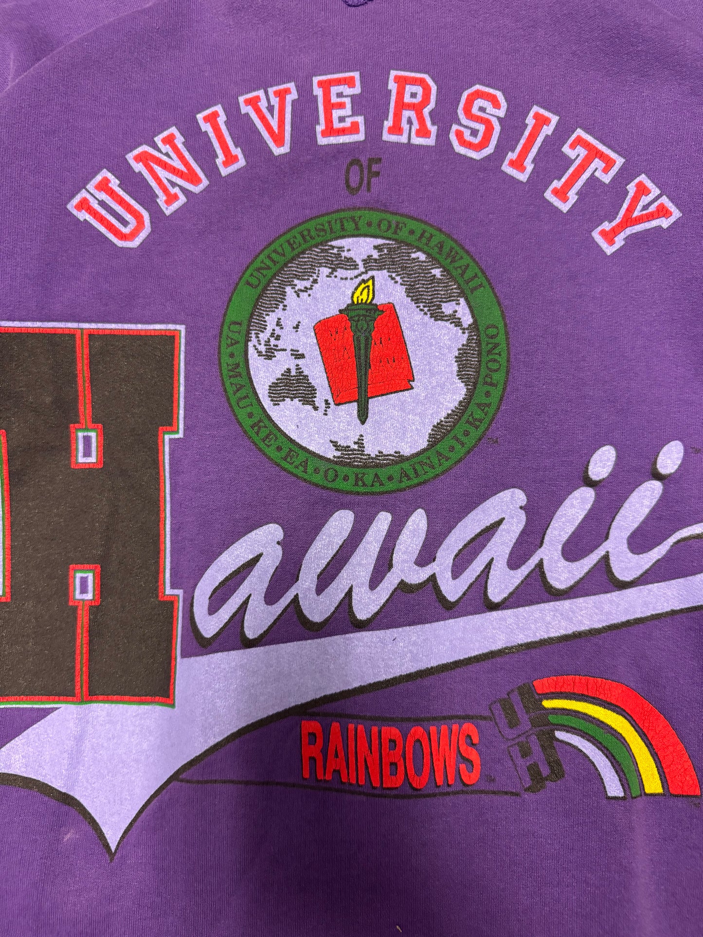 90s University of Hawaii Rainbows Vintage Crewneck (S)