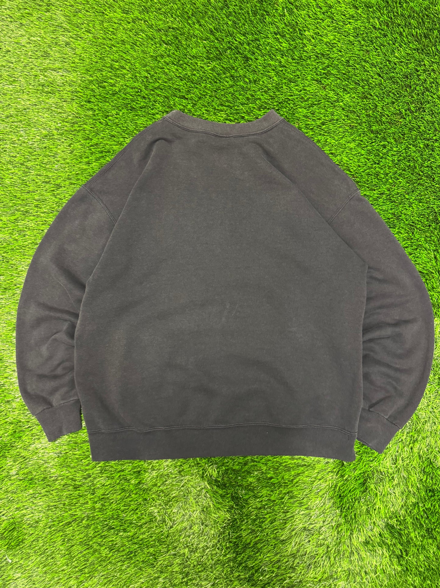 1993 Carolina Panthers Spell Out Faded Nutmeg Crewneck (L)