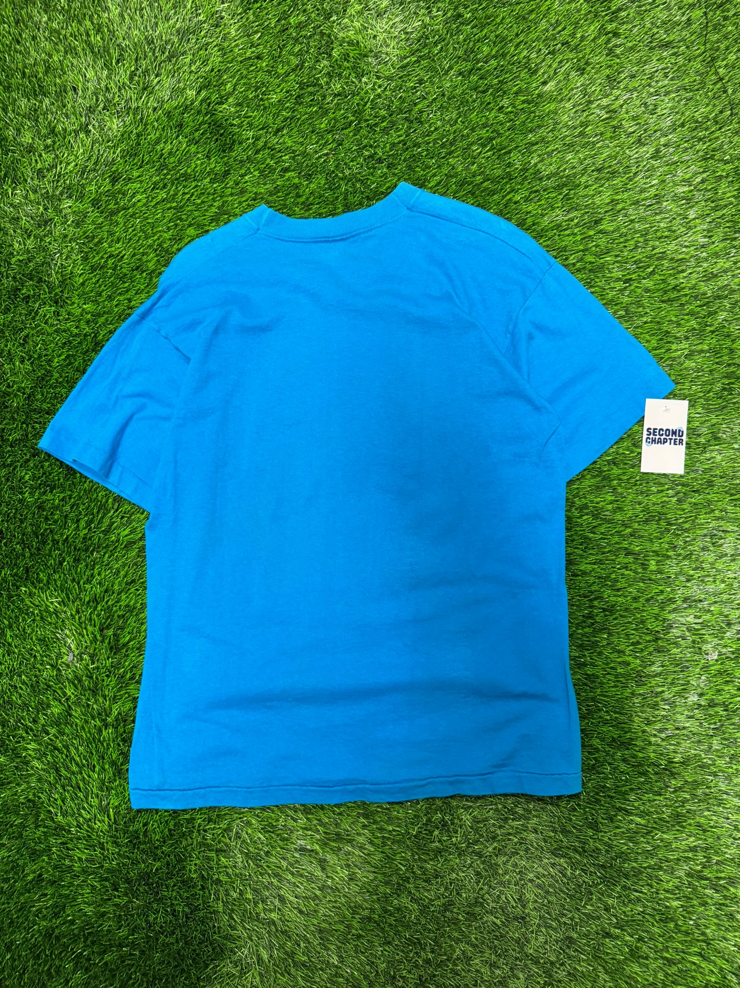 1995 Carolina Panthers Salem Sportswear Big Helmet Graphic Blue Vintage Tee (L)