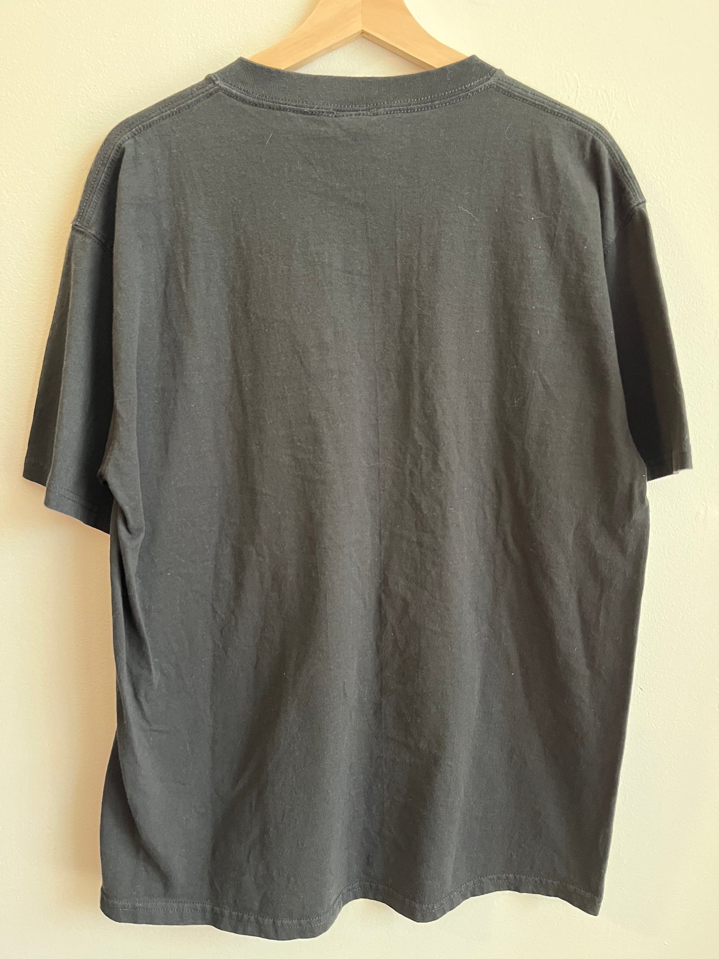 2005 Atlanta Falcons NFL Tee (L)