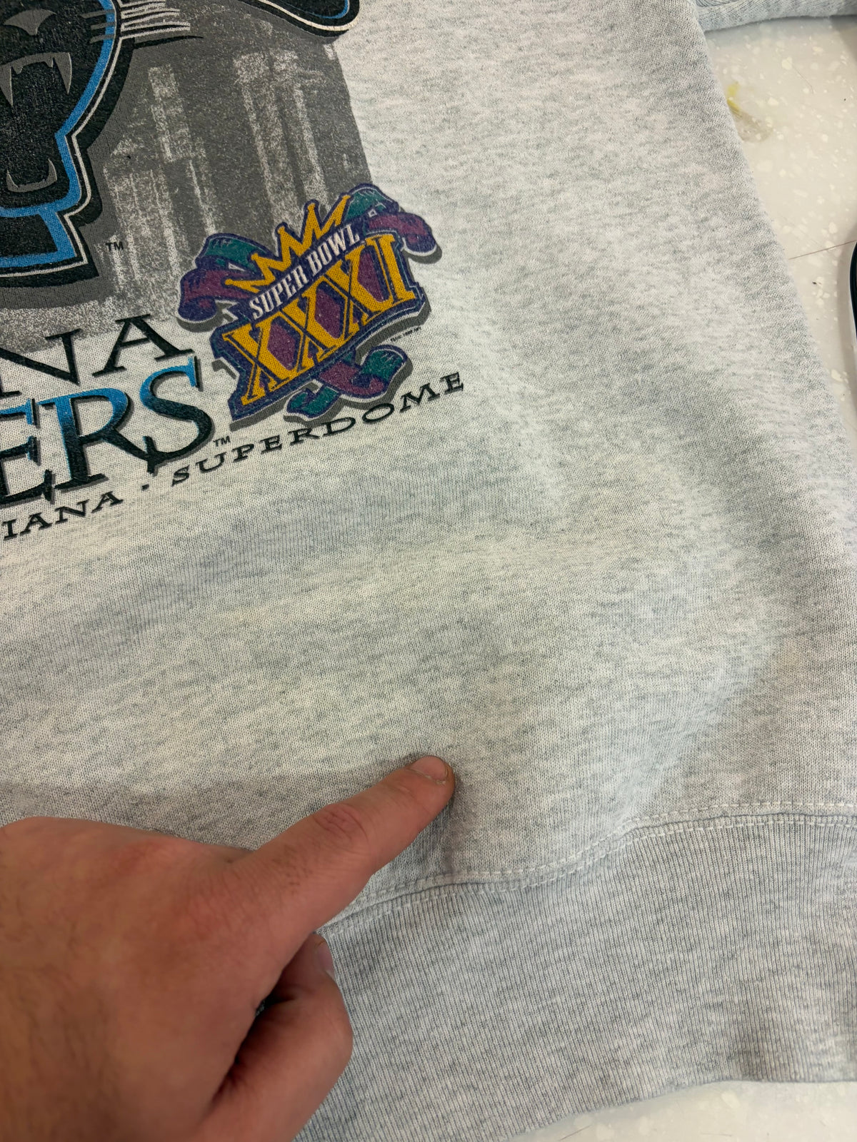 1996 Carolina Panthers Bourbon St Bound Grey Crewneck (L)