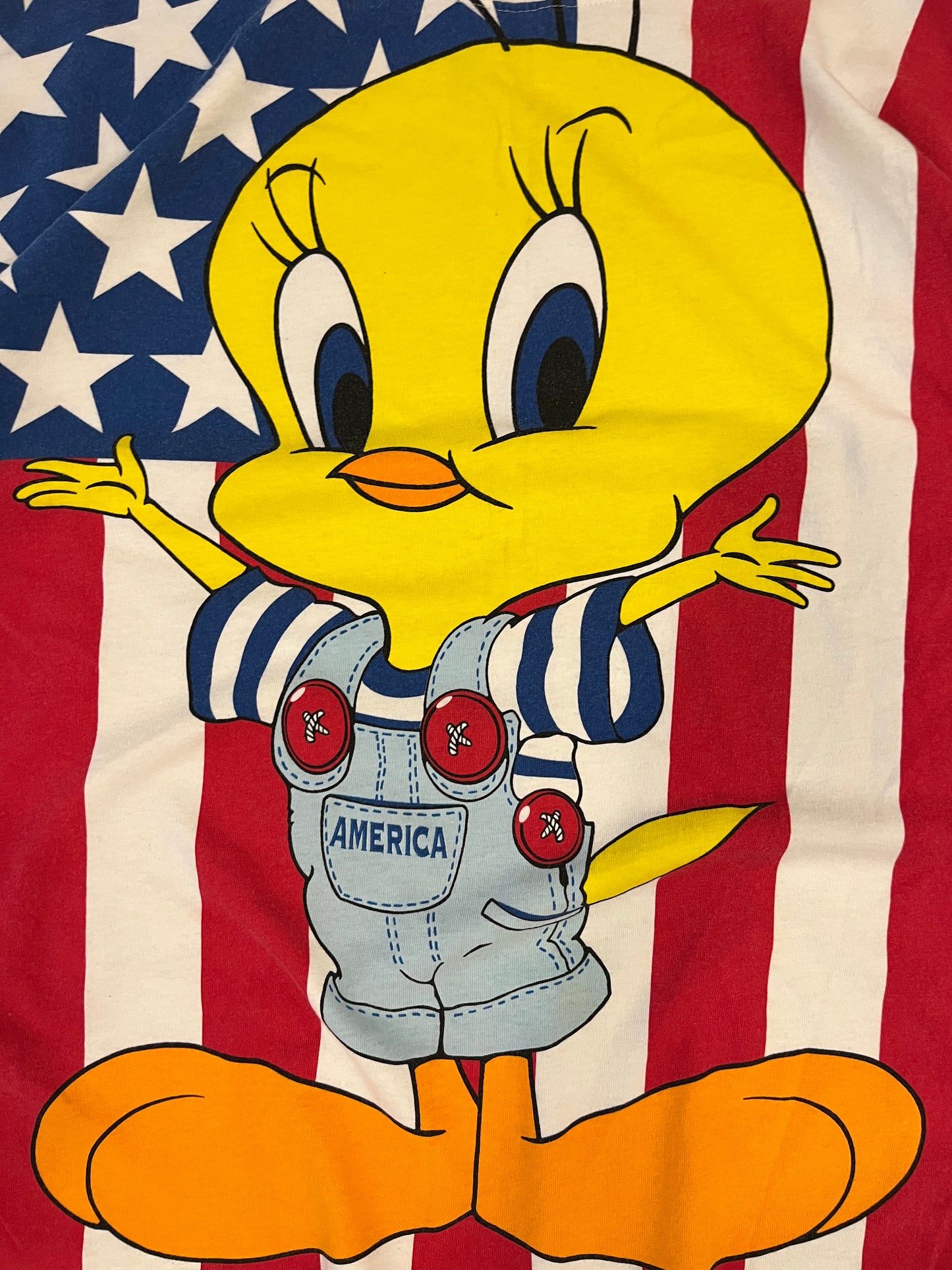 1995 Tweety Bird Looney Tunes Big Graphic Tee (L)