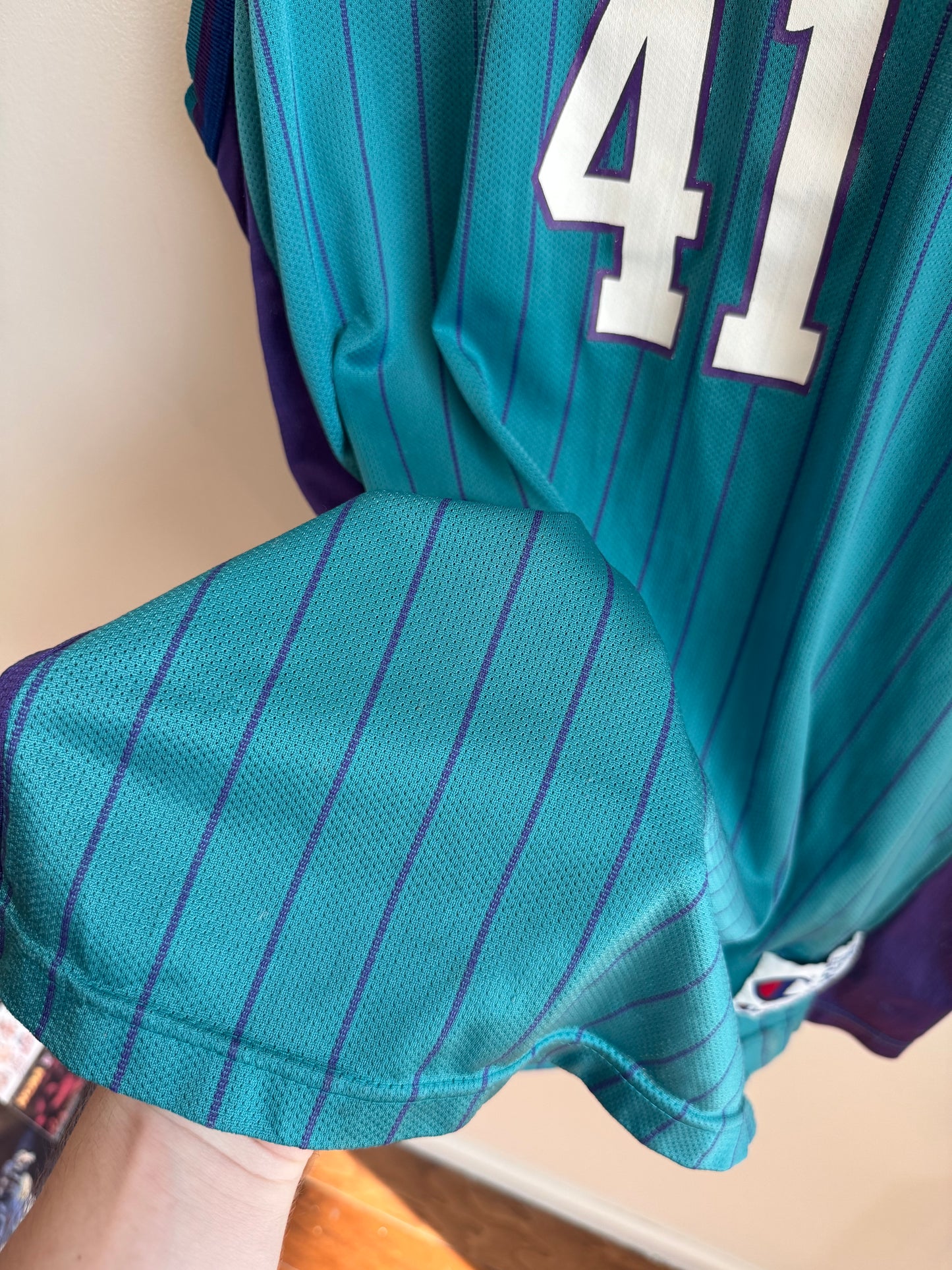 90s Charlotte Hornets Glen Rice Pinstripe NBA Champion Jersey (XL)