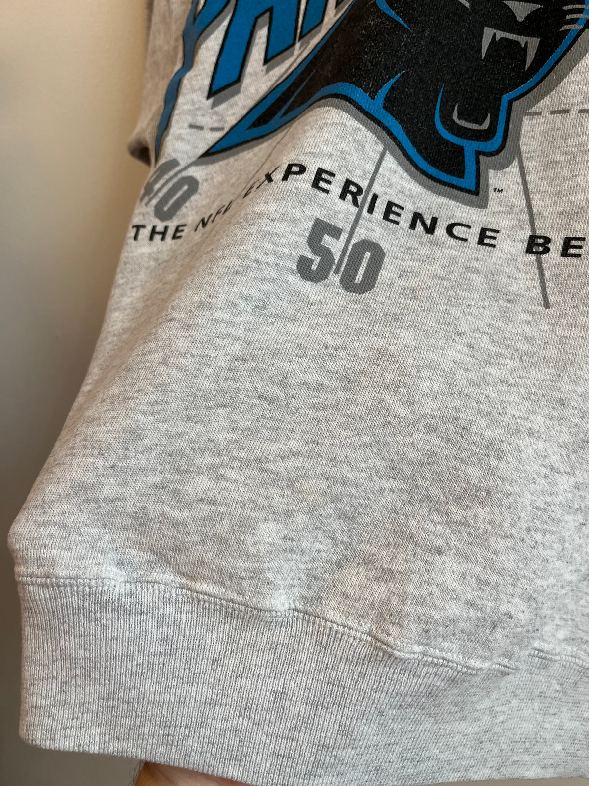 90s Carolina Panthers Grey Yard Line Crewneck (M)