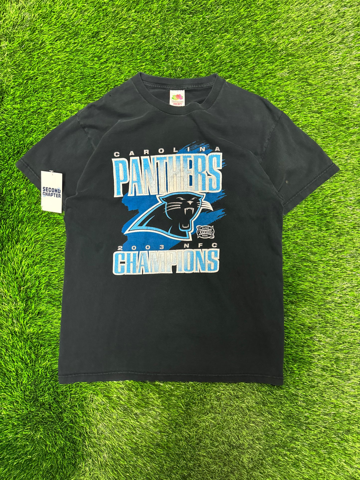 2003 Carolina Panthers NFC Champions Graphic Vintage Tee (L)