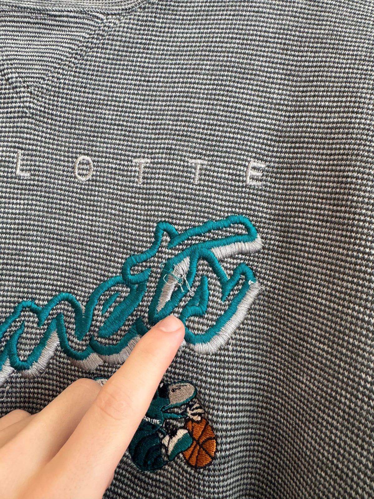 90s Charlotte Hornets Embroidered Lee Crewneck (XL)