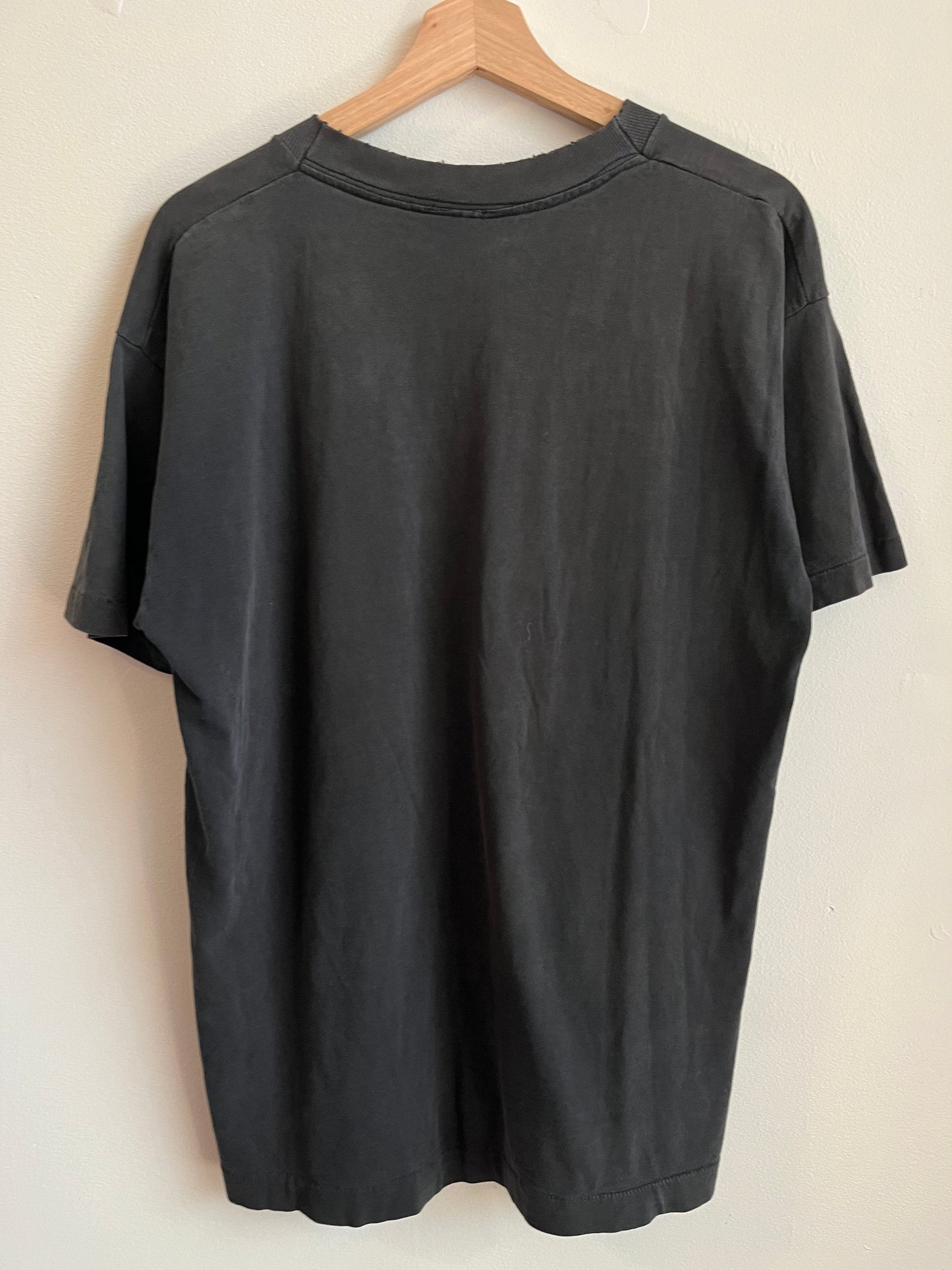 1995 Carolina Panthers Football Official Fan Tee (XL)