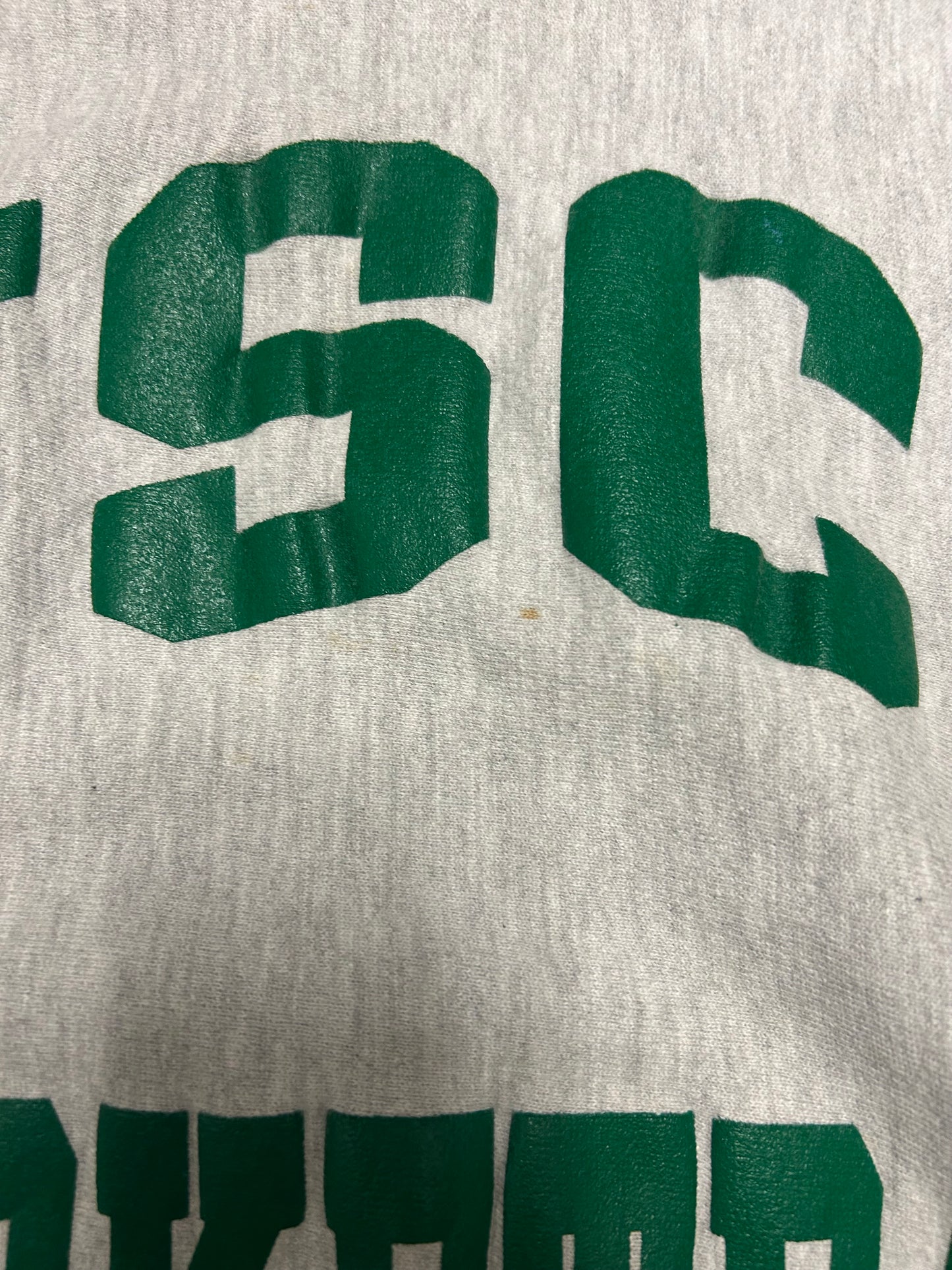 90s University Of South Carolina Upstate Spartanburg Crewneck (XL)