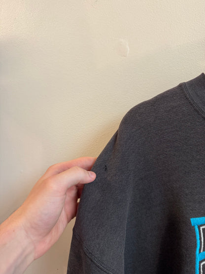 90s Carolina Panthers Embroidered Lee Sports Faded Crewneck (XL)