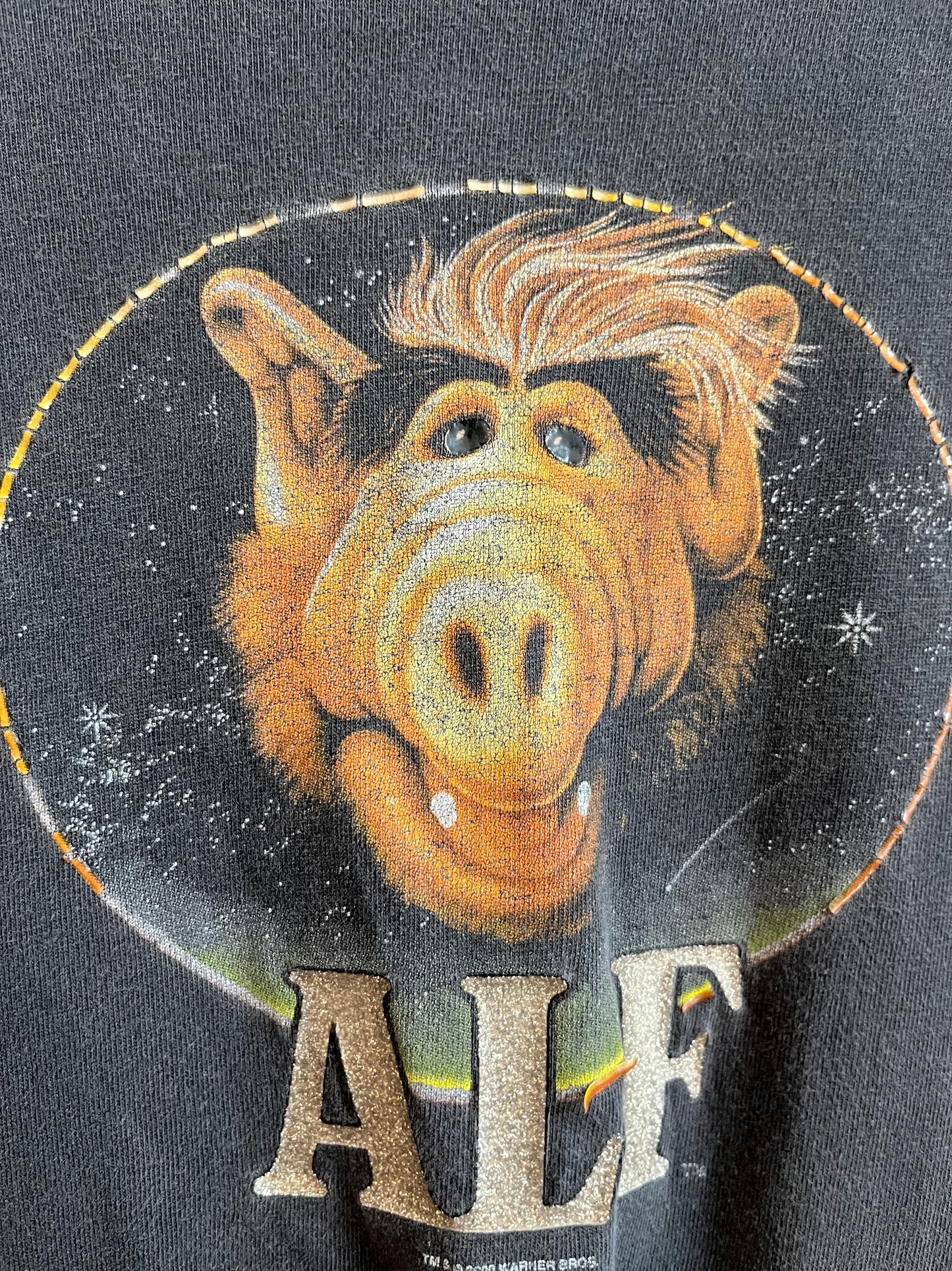 2000 ALF Faded Warner Brothers Cartoon Tee (XL)