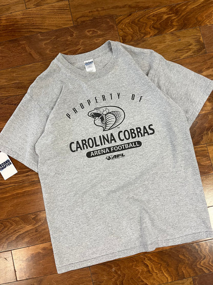 Y2K Carolina Cobras Arena Football League Tee (L)