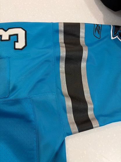00s Carolina Panthers DeAngelo Williams Blue Stitched Flawed Jersey (XL)