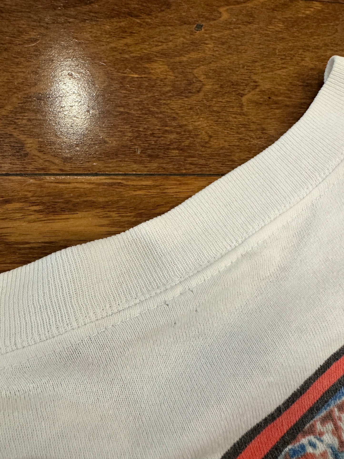 1998 Nascar Dale Earnhardt Jr Portrait of a Champion AOP Tee (XL)