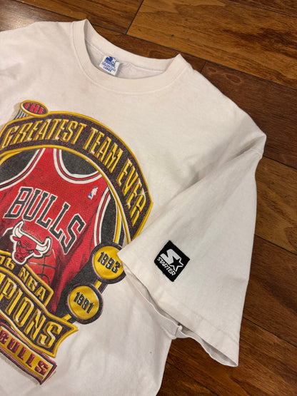 1997 Chicago Bulls Greatest Team Starter Graphic Tee (L)