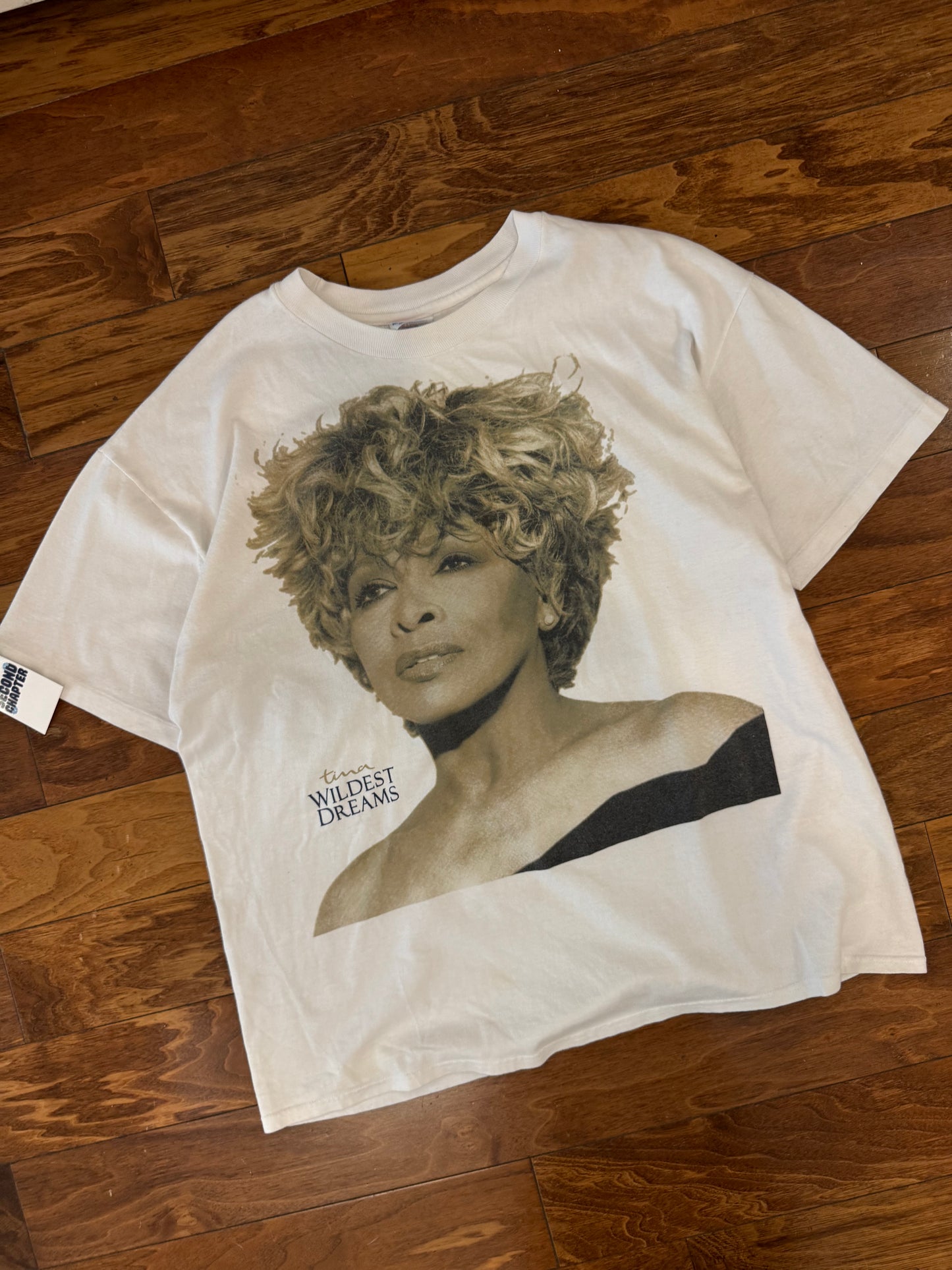 90s Tina Turner "Wildest Dream" Music Vintage Tour Tee (XL)
