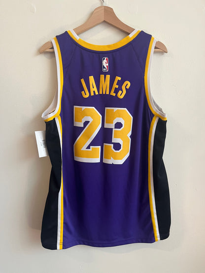 2019 Lebron James LA Lakers Nike NBA Jersey (L)