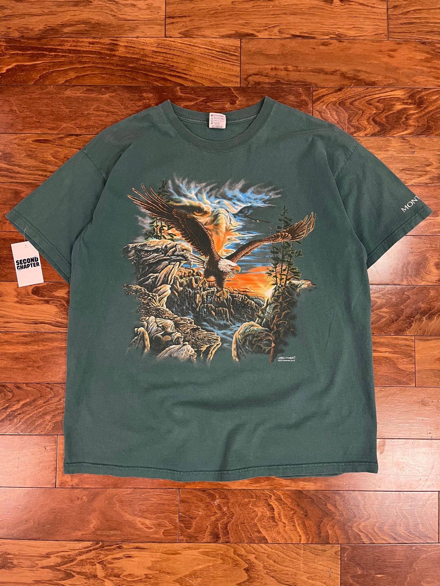 90s Eagle Polar Graphics Nature Tee (XXL)