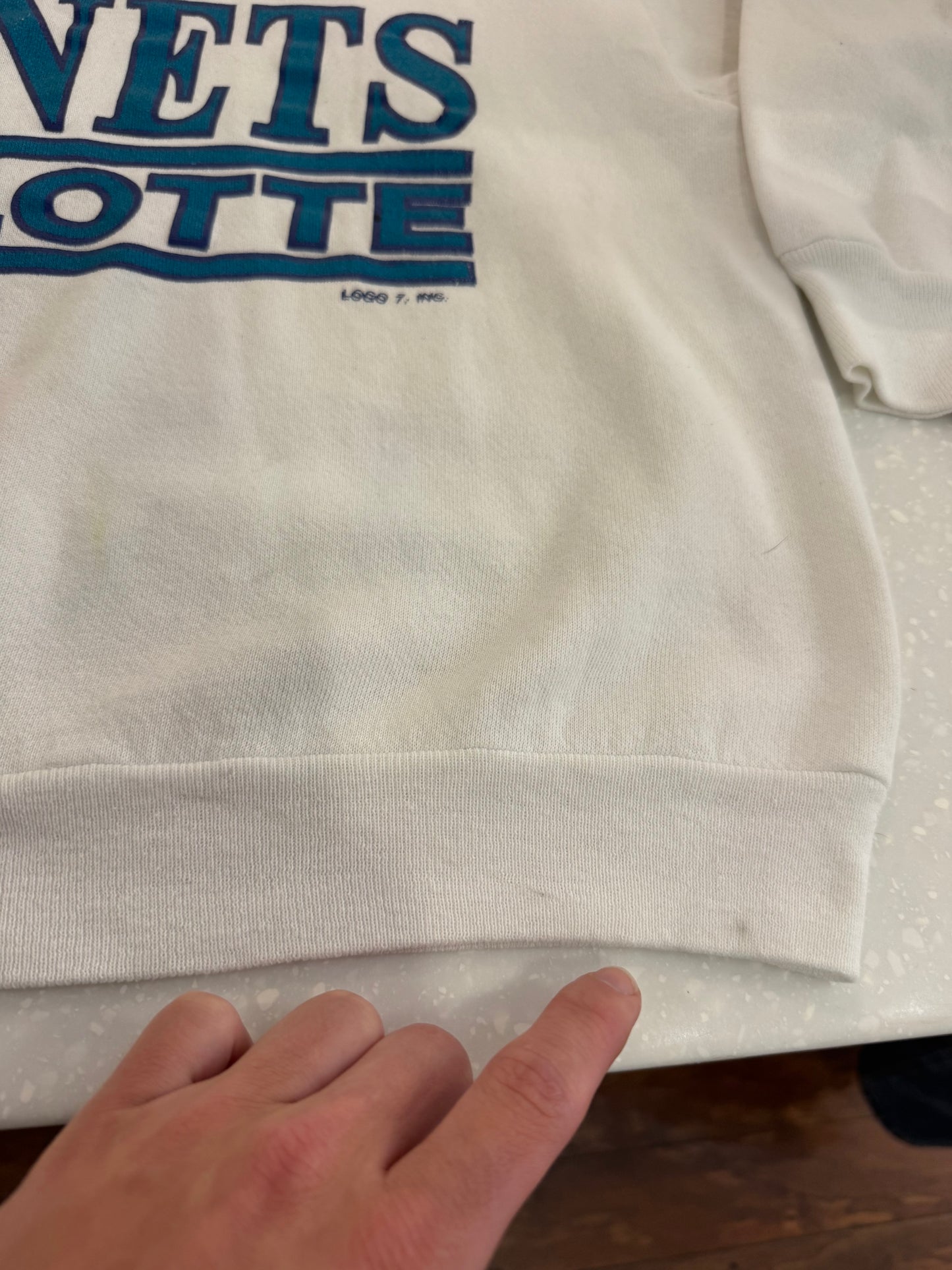 90s Charlotte Hornets Spell Out Essential Crewneck (L)
