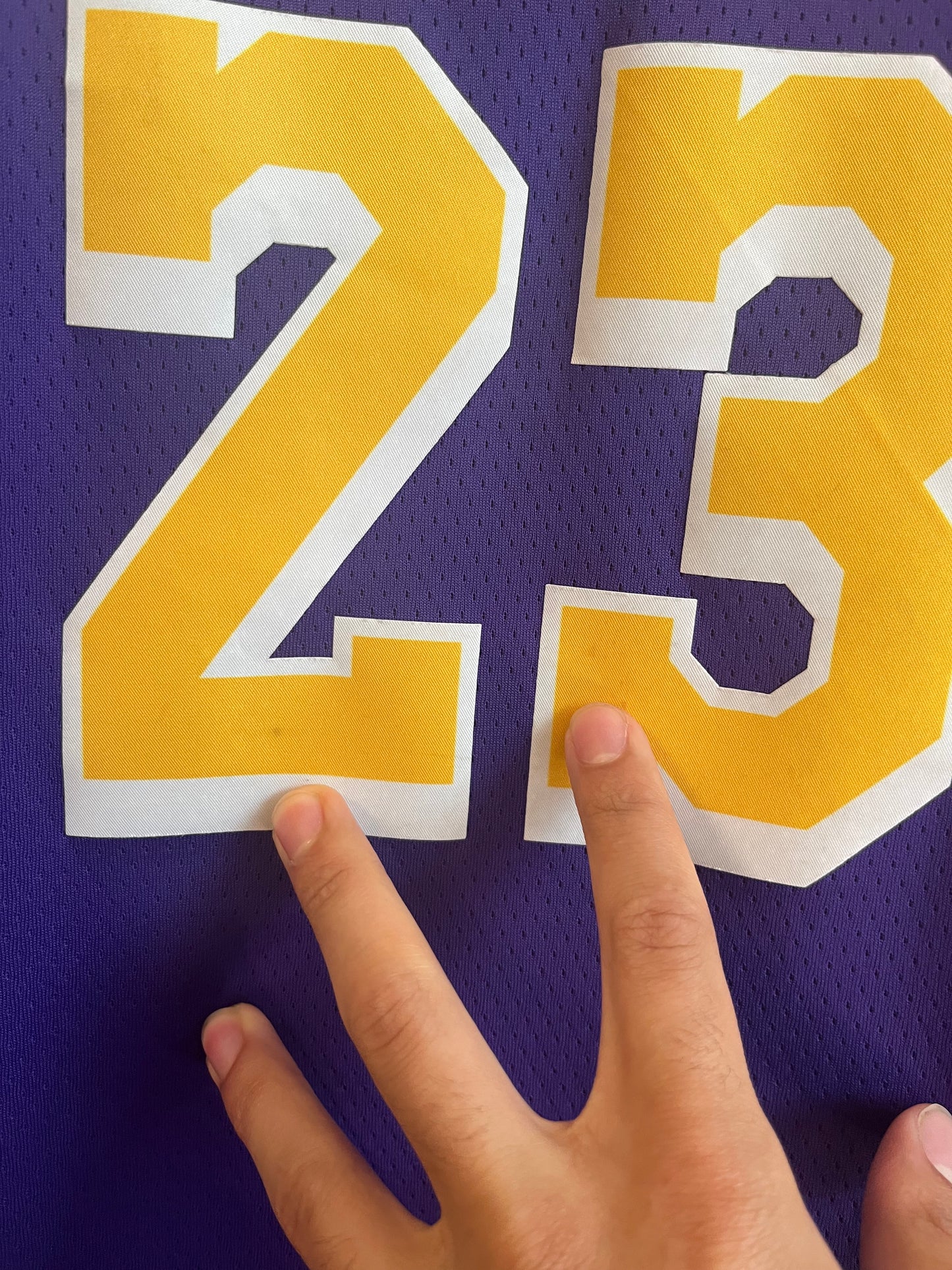 2019 Lebron James LA Lakers Nike NBA Jersey (L)