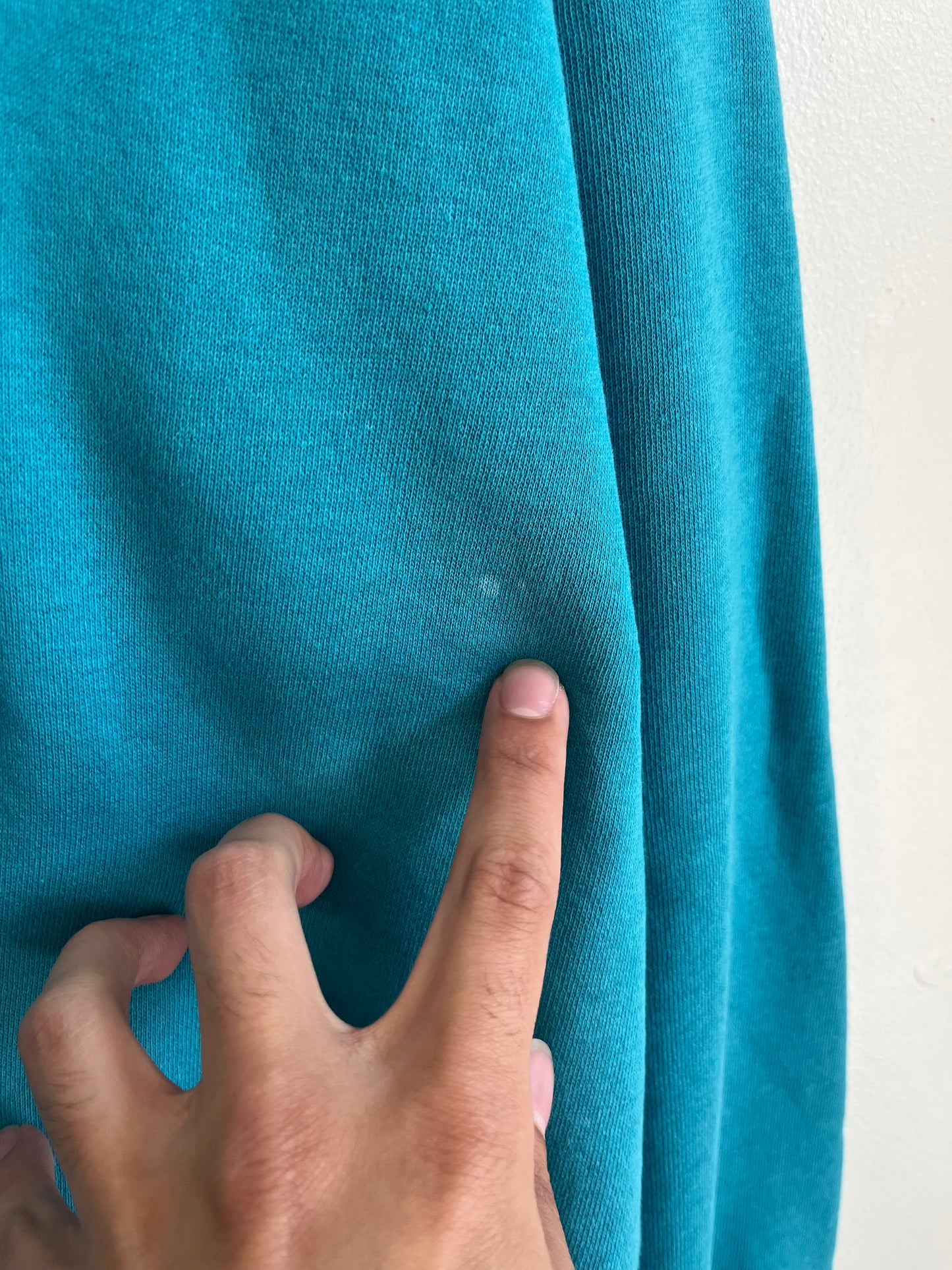 90s Charlotte Hornets Faded Logo Athletic Crewneck (L)