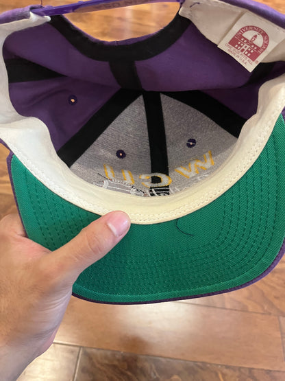 90s Western Carolina University (WCU) Football Hat (OS)