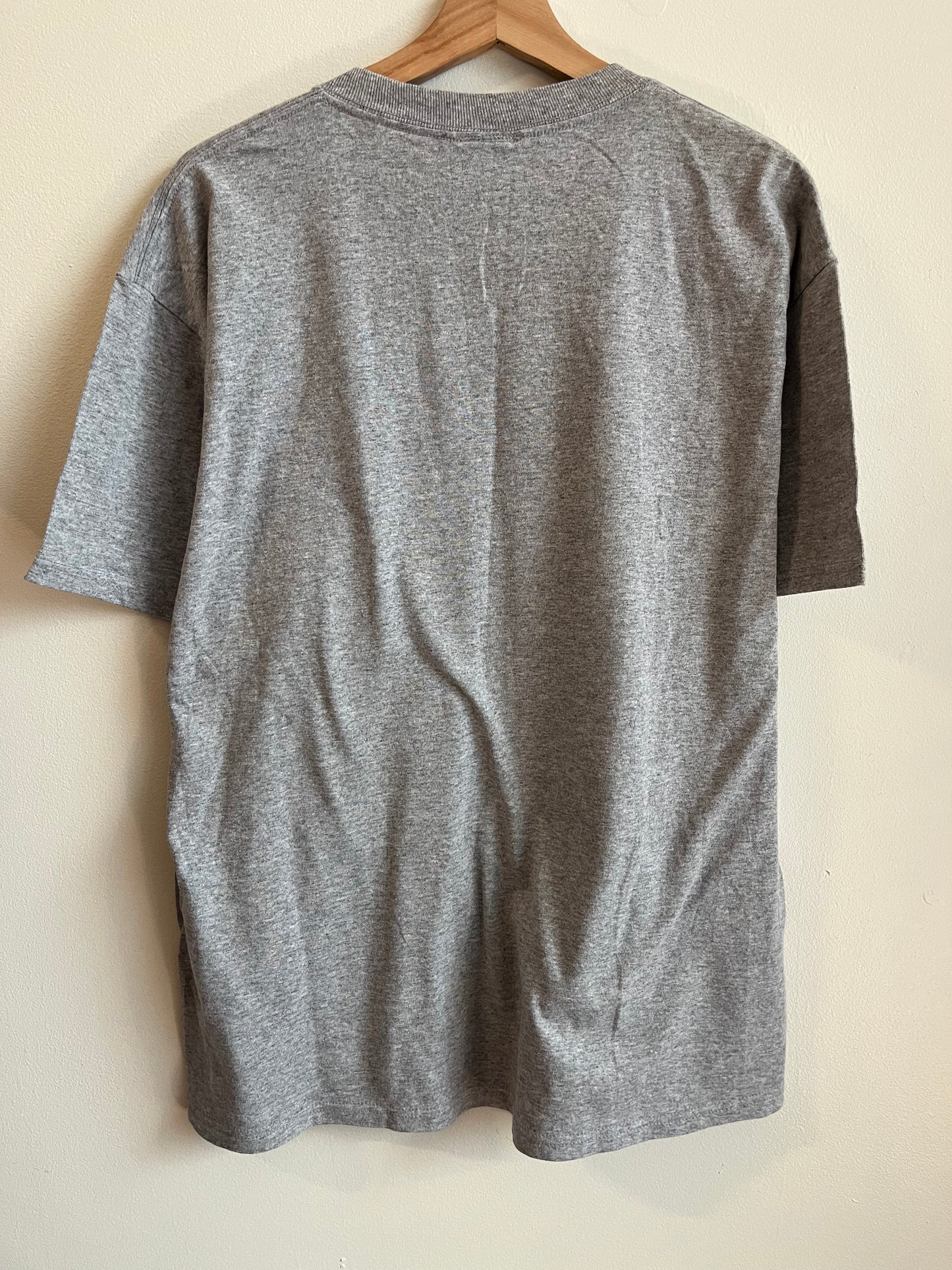 2004 Carolina Panthers vs New England Patriots Super Bowl Grey Tee