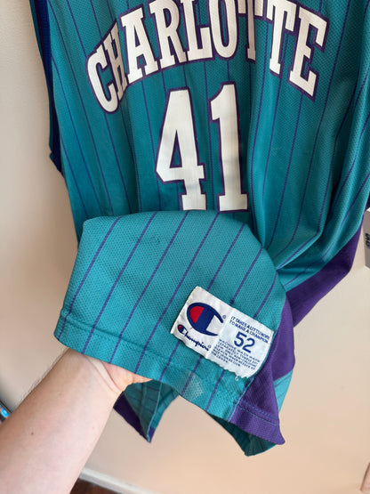 90s Charlotte Hornets Glen Rice Pinstripe NBA Champion Jersey (XL)