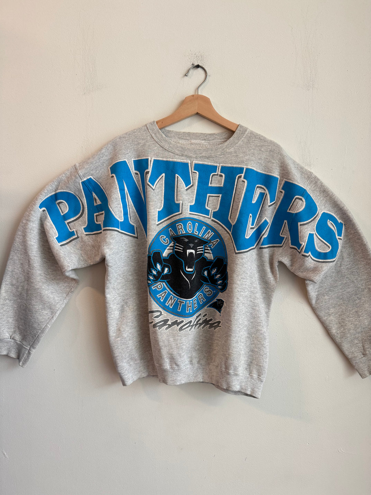 90s Carolina Panthers Sleeve to Sleeve Grey Spell Out Crewneck (M)