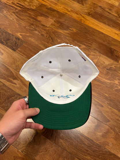 90s Carolina Panthers Embroidered Spell Out Hat (OS)