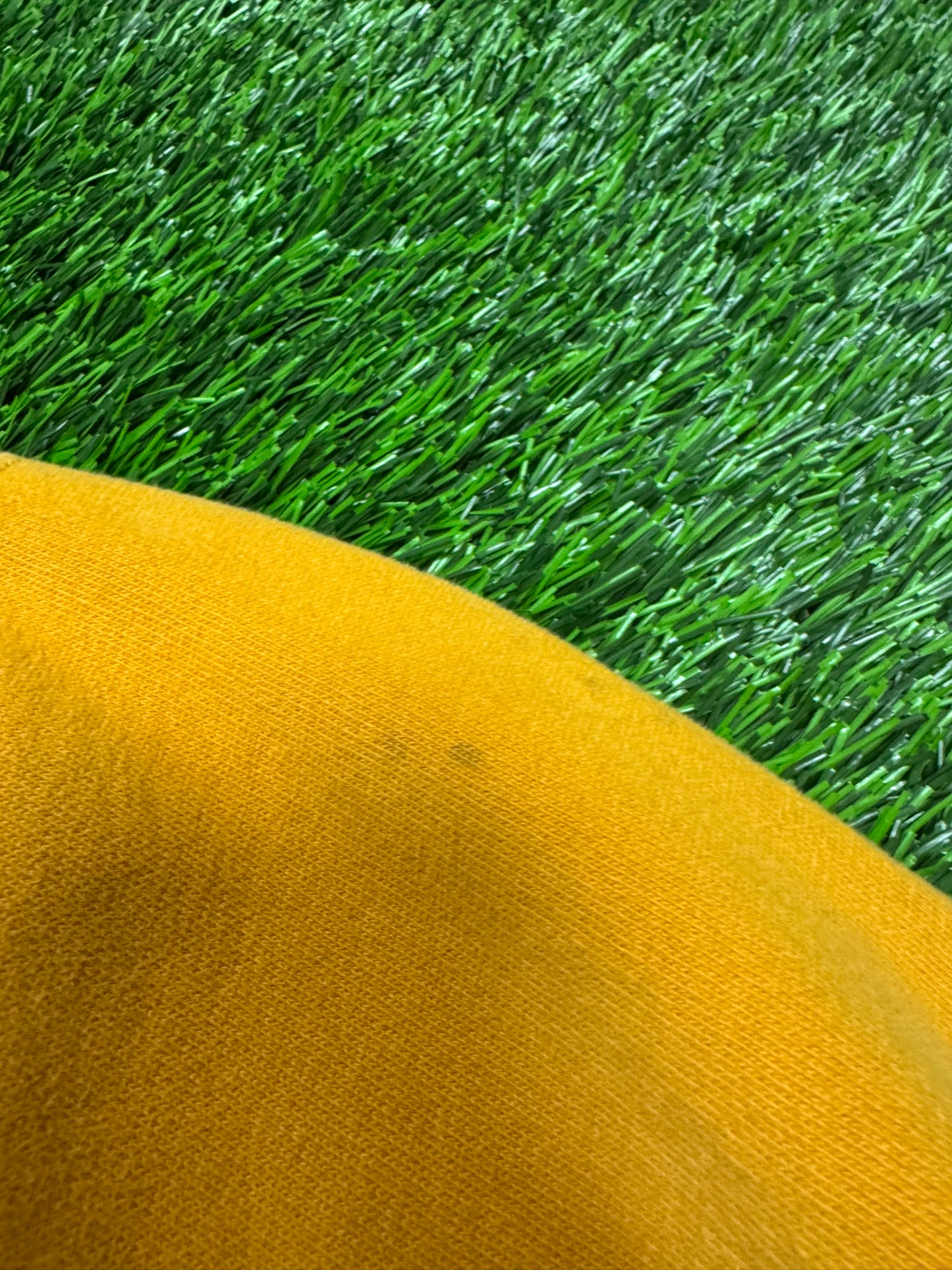 00s Cabela's Vintage Nature Crewneck (XL)