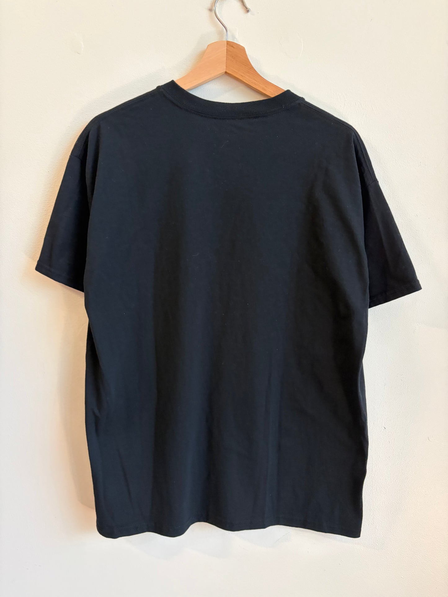 2016 Panthers v Broncos Super Bowl 50 Tee (L)
