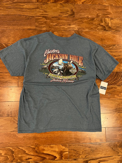 2012 Harley Davidson Affliction Blue Tee (XL)