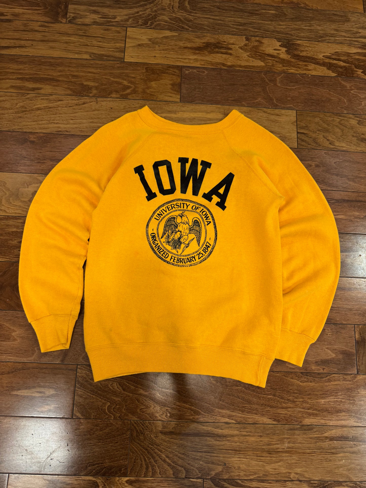 70s University Of Iowa Champion Vintage Crewneck (S)