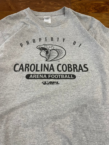 Y2K Carolina Cobras Arena Football League Tee (L)