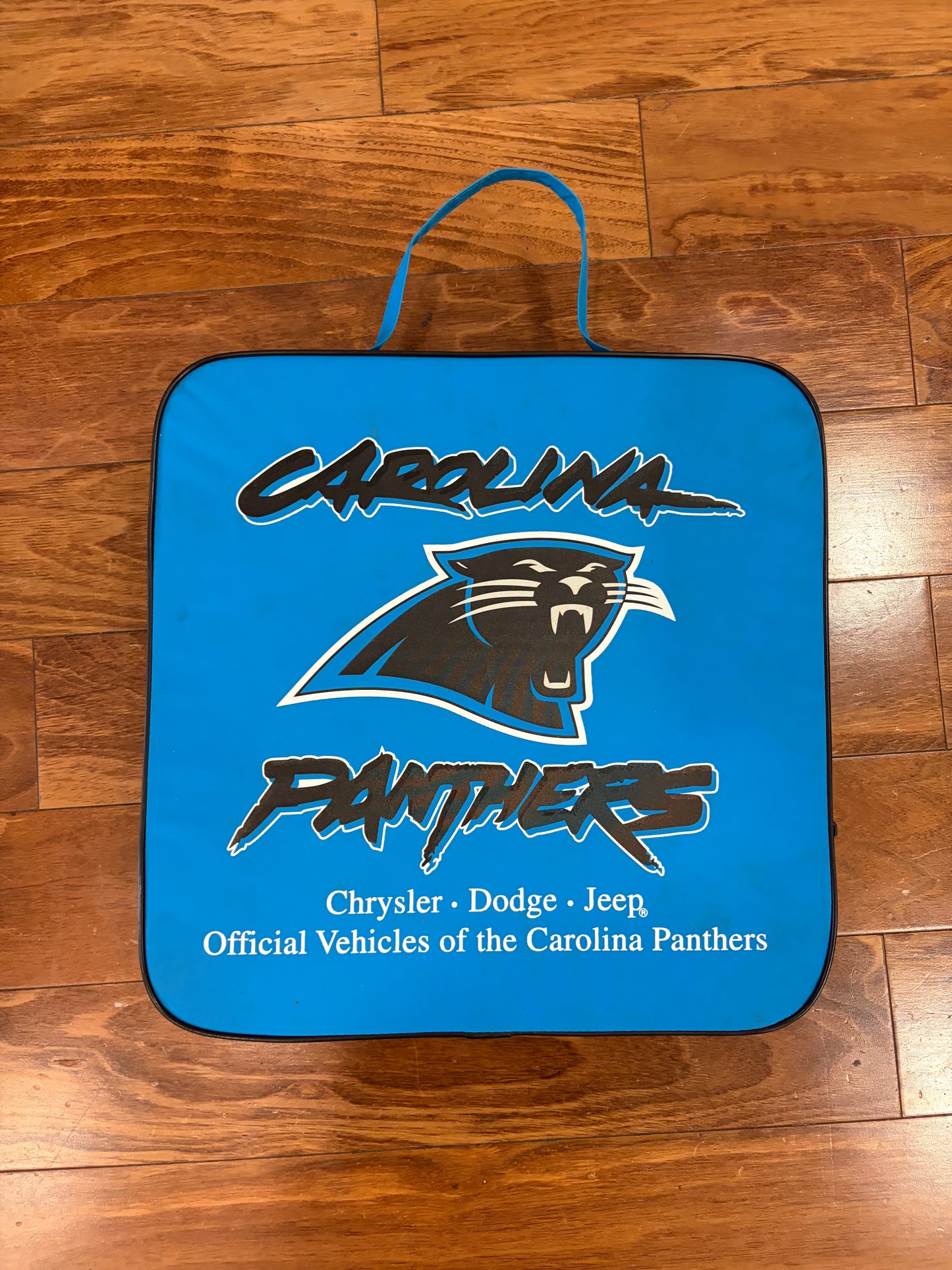 00s Carolina Panthers Stadium Seat Cushion (OS)
