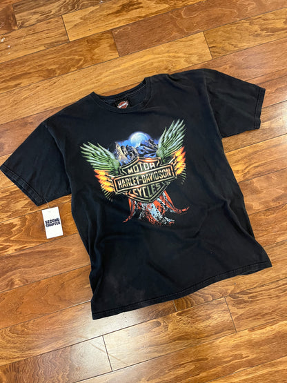 2008 Harley Davidson St Louis Gateway Tee (L)