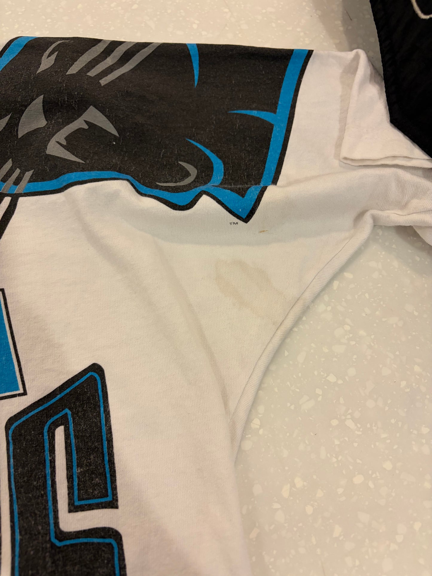 90s Carolina Panthers Apex Big Face Shoulder Hit Tee (M)