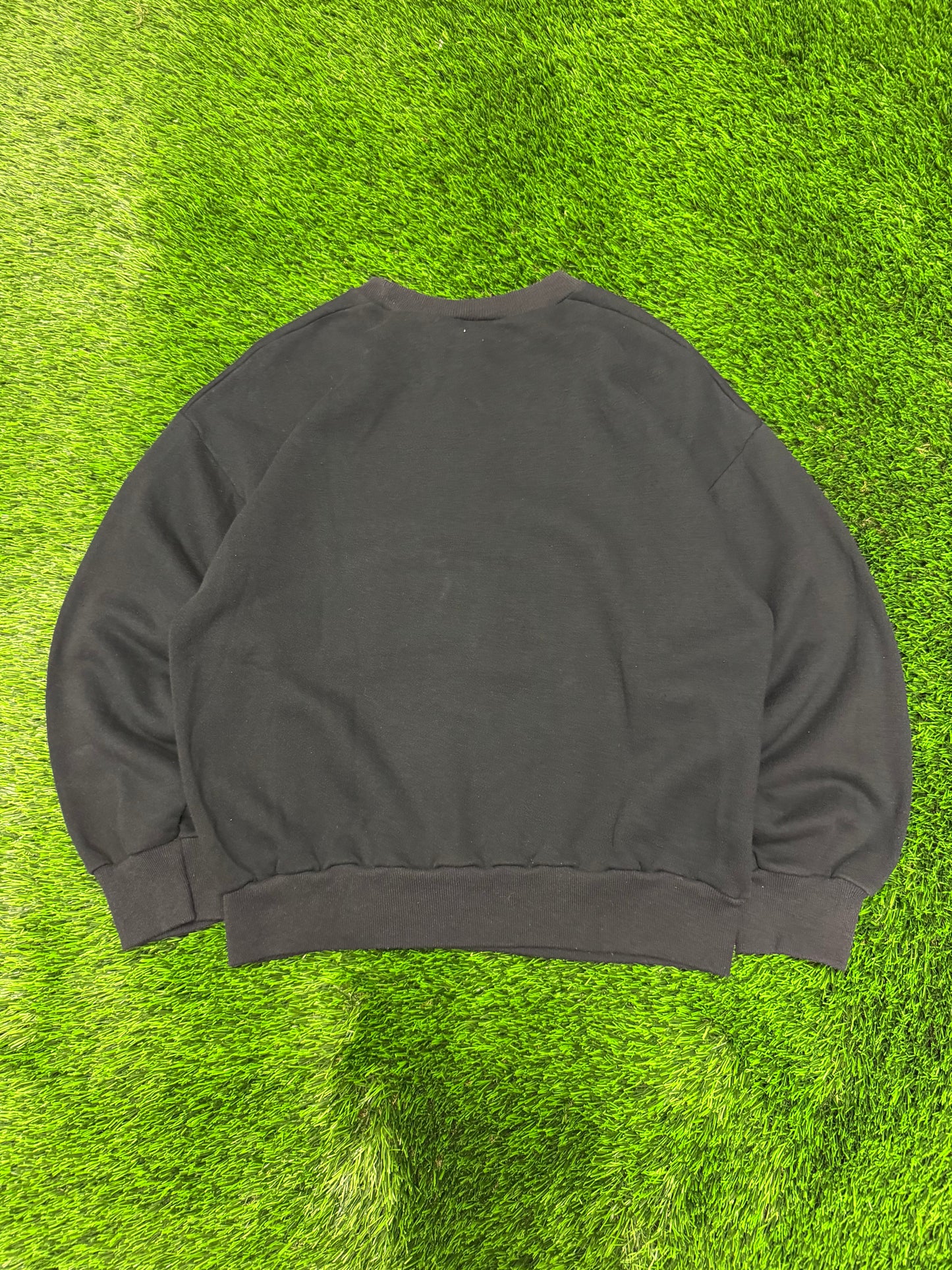 90s Carolina Panthers Angry Panther Crewneck (L)