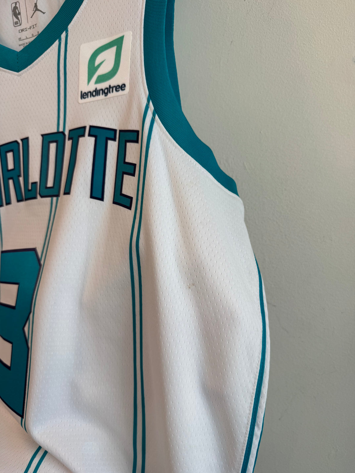 2021 Charlotte Hornets Terry Rozier III Away Jordan Swingman Jersey (L)