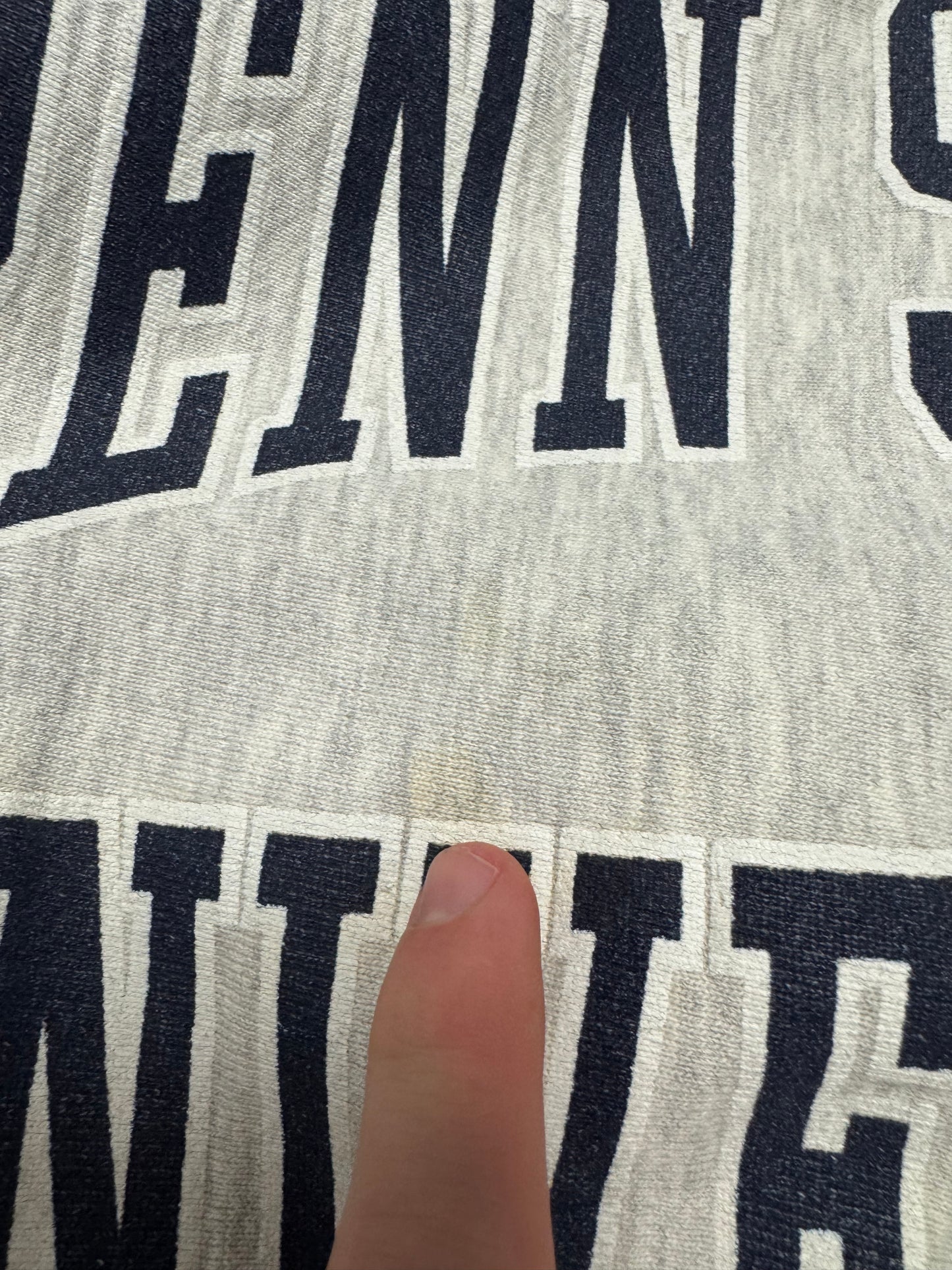 90s Penn State University Nittany Lions Spell Out Reverse Weave Vintage Crewneck (M)