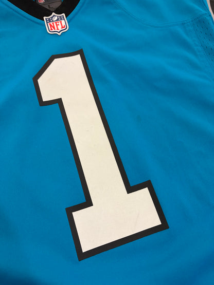 2010s Carolina Panthers Cam Newton Blue Nike Jersey (L)