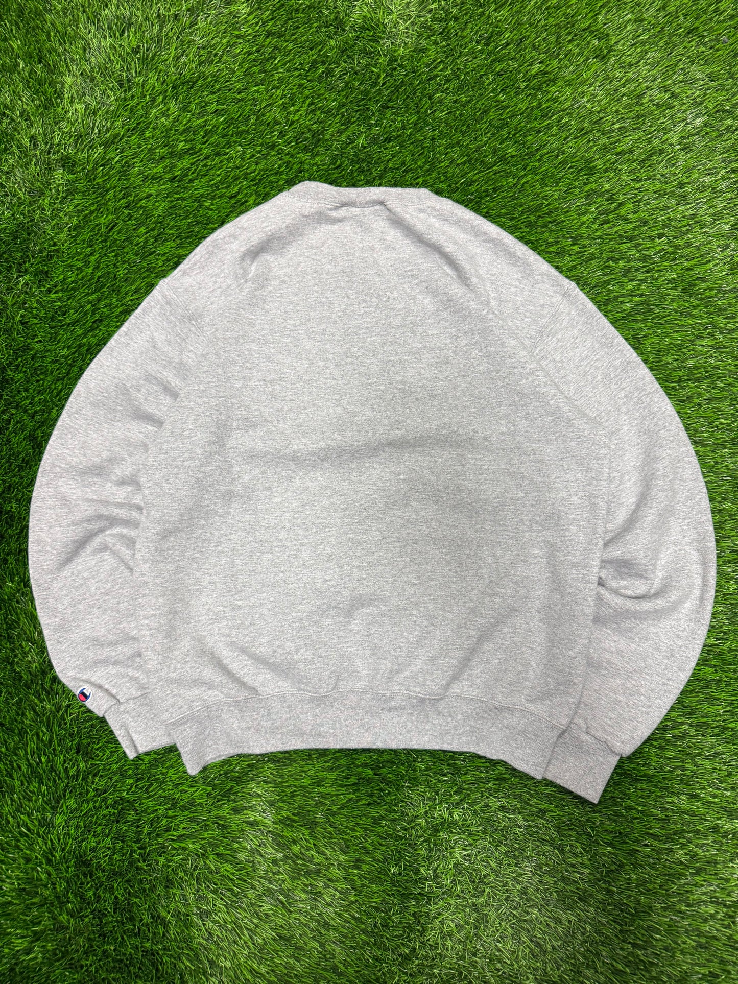 2010s Michigan University Champion Grey Spell Out Crewneck (M)