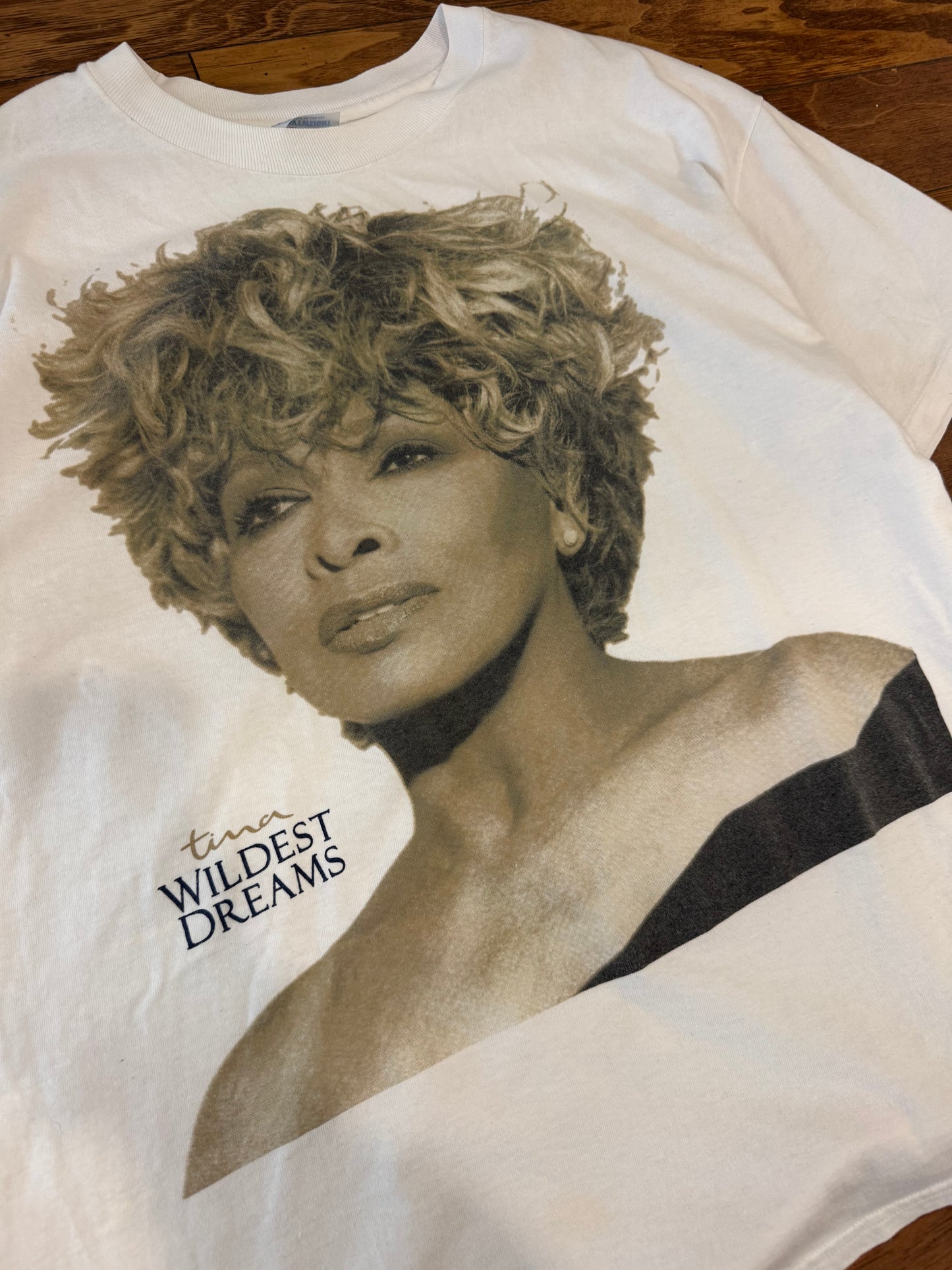 90s Tina Turner "Wildest Dream" Music Vintage Tour Tee (XL)