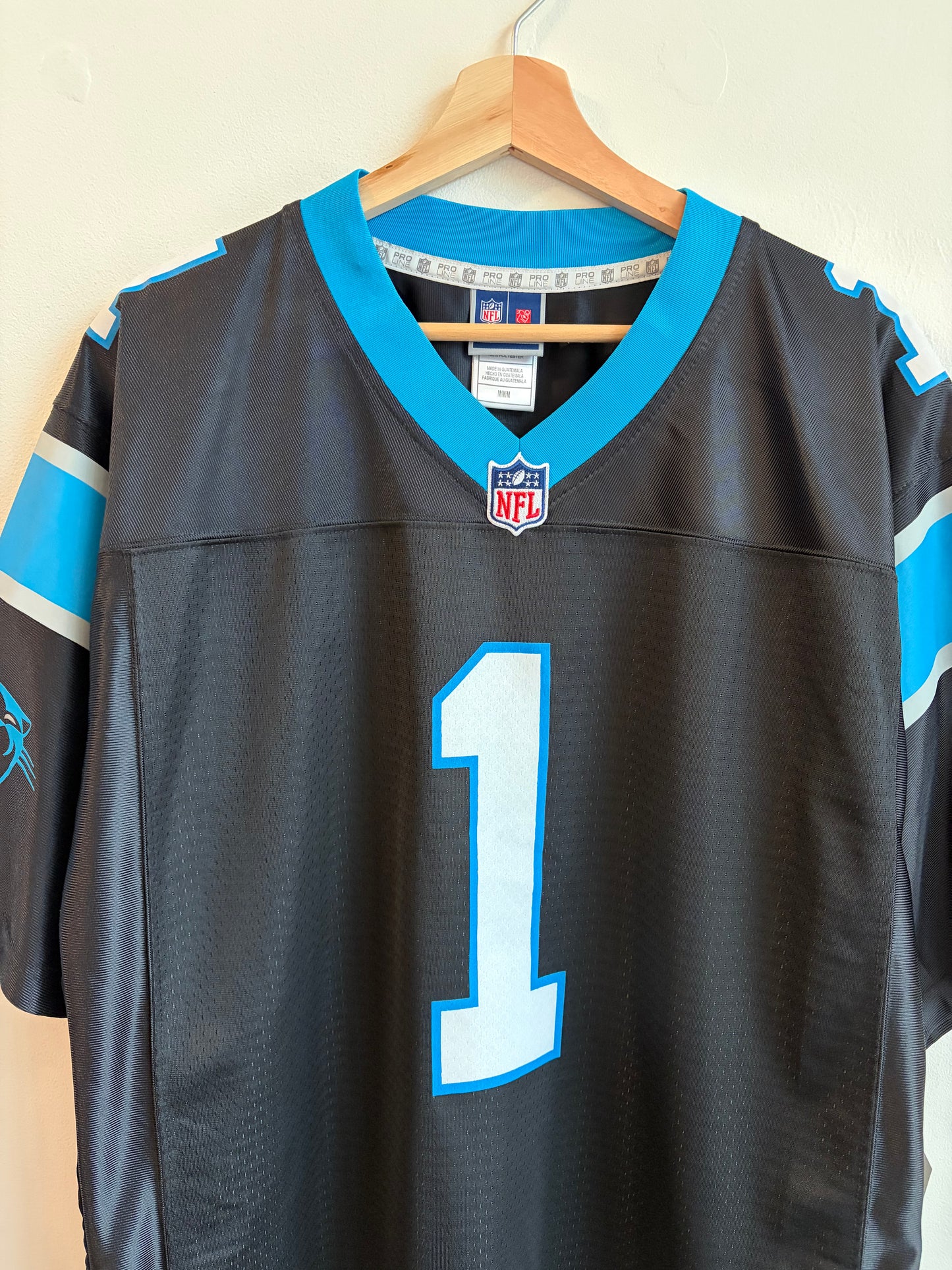 2010s Carolina Panthers Cam Newton Home Pro Line Jersey (M)