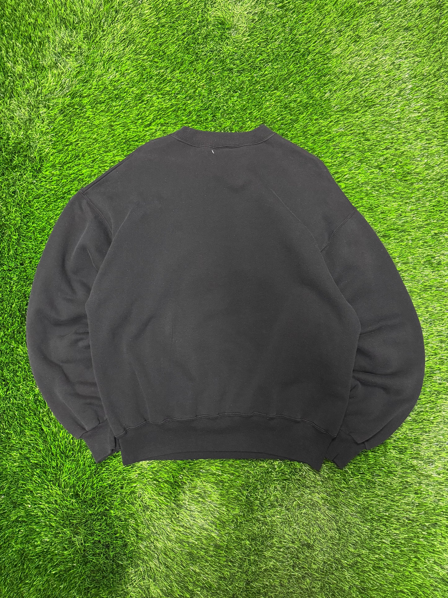 90s Carolina Panthers Spell Out Vintage Crewneck (L)