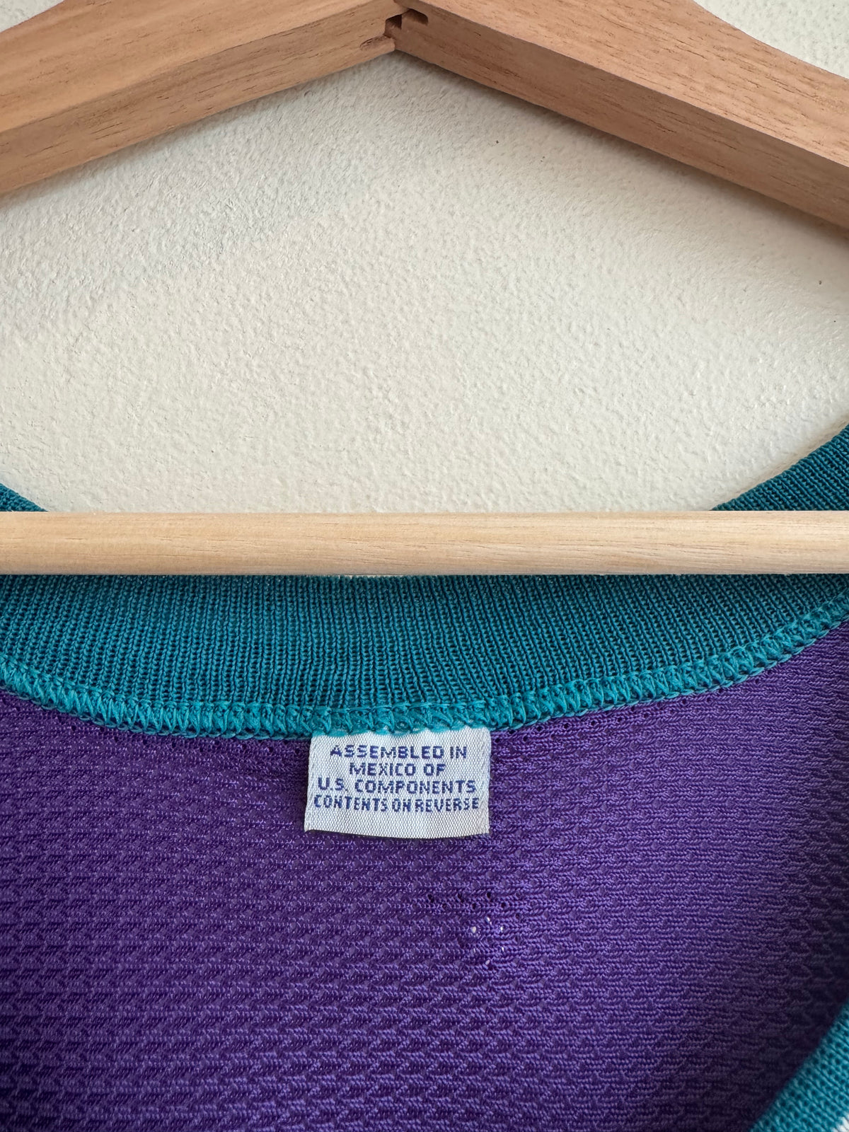 90s Charlotte Hornets Alonzo Mourning Champion Vintage Purple Jersey (M)